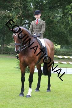 FRY-3463