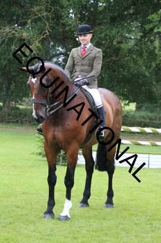 FRY-3464