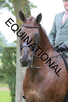 FRY-3517