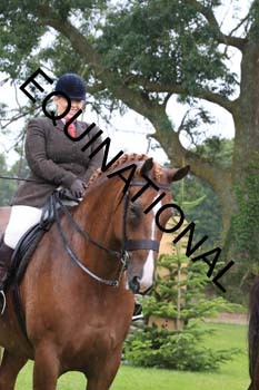 FRY-3522