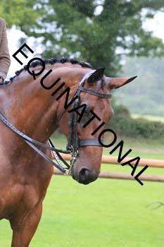 FRY-3626