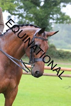 FRY-3627