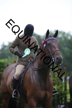FRY-4097
