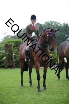 FRY-4103