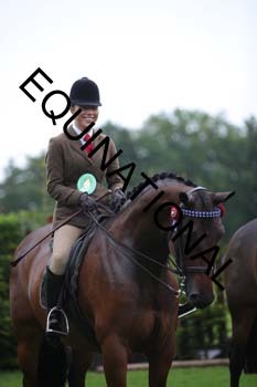 FRY-4106