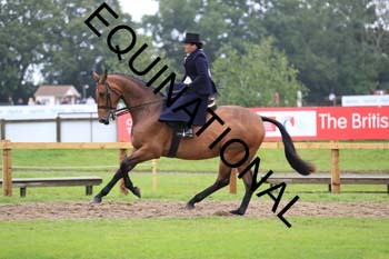 FRY-5029