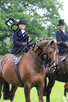 FRY-5189