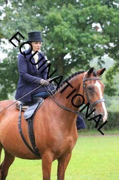 FRY-5198
