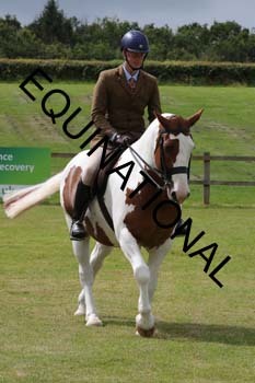 BIZ-3062