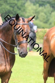 OFF-2139