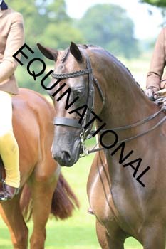 OFF-2149