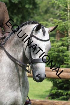 OFF-2237
