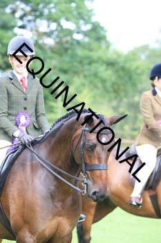 OFF-2299
