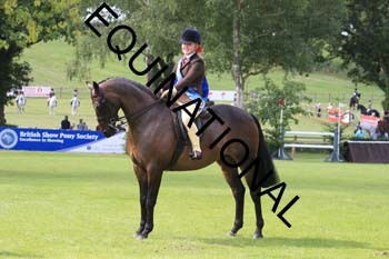 OFF-2307
