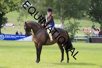 OFF-2308