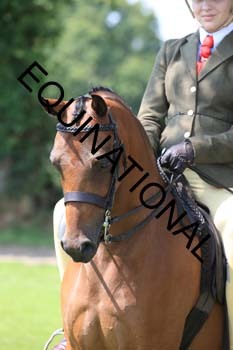 OFF-2944