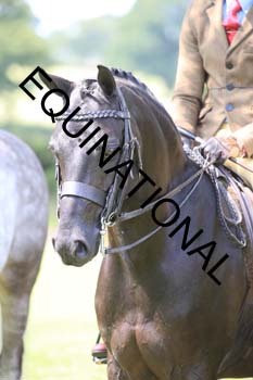 OFF-2957