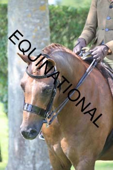 OFF-2960