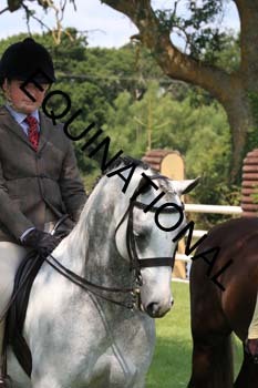 OFF-2966