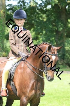 OFF-2981