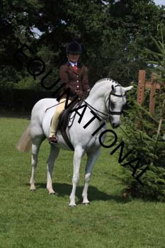 OFF-2986