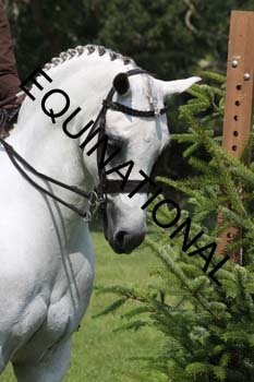 OFF-2989