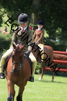 OFF-2991
