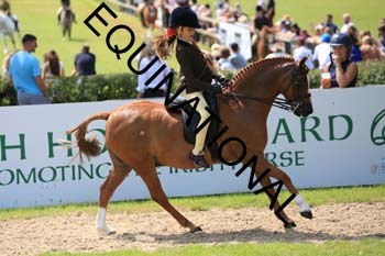 OFF-3147