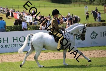 OFF-3149