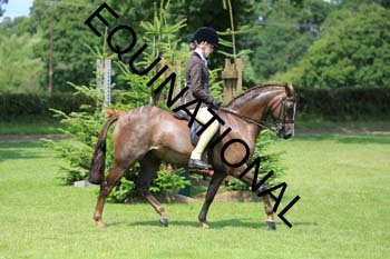 OFF-3162