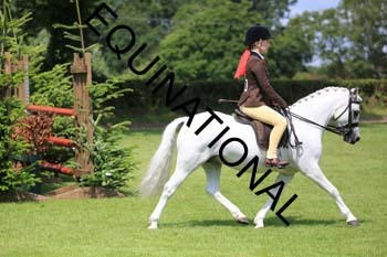 OFF-3167