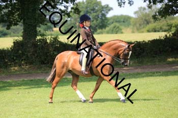 OFF-3173