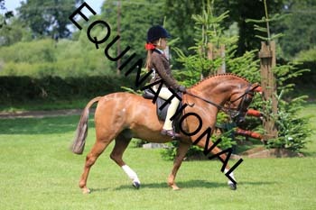 OFF-3175