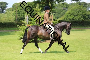 OFF-3188