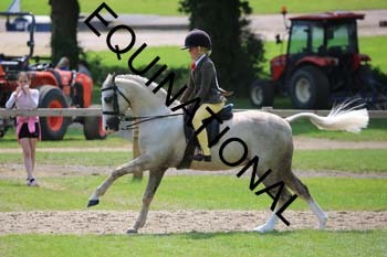 OFF-3222
