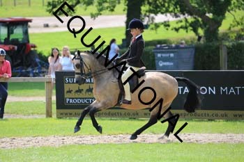OFF-3238