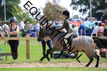 OFF-3245