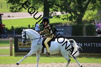OFF-3253
