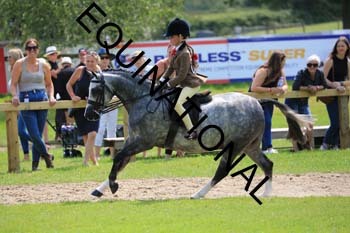 OFF-3262