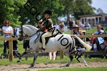OFF-3267