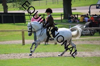OFF-3277