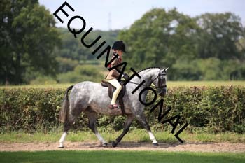OFF-3291