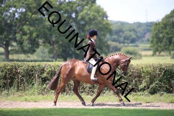 OFF-3293