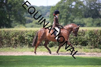 OFF-3294