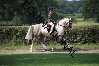 OFF-3297