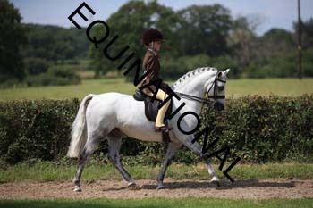 OFF-3326
