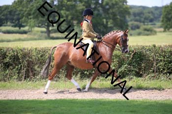 OFF-3338