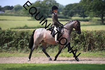 OFF-3341