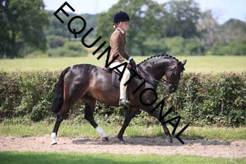 OFF-3346