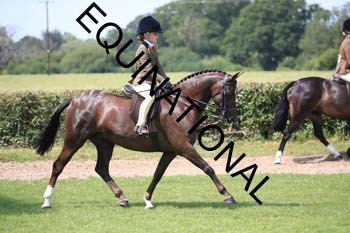 OFF-3348